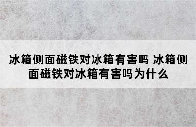 冰箱侧面磁铁对冰箱有害吗 冰箱侧面磁铁对冰箱有害吗为什么